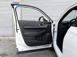 2022 HONDA e NS1 e-JING full