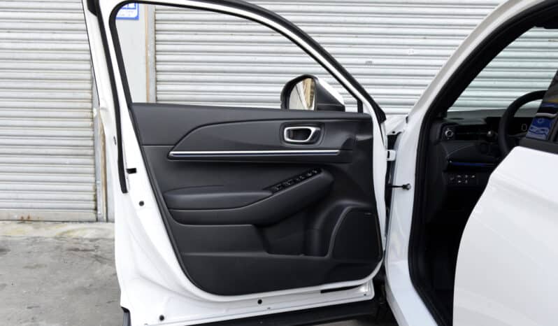 2022 HONDA e NS1 e-JING full