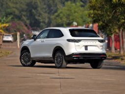 2022 HONDA e NS1 e-JING full