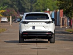 2022 HONDA e NS1 e-JING full