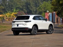 2022 HONDA e NS1 e-JING full