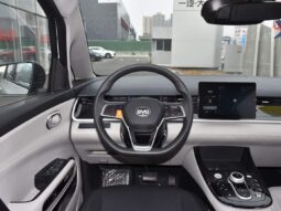 2022MY BYD D1 STANDARD 418KM full