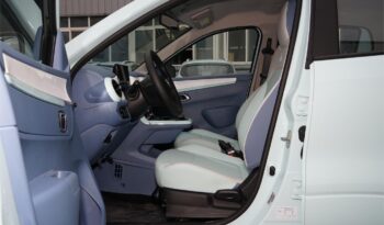 Dongfeng Nami Box full