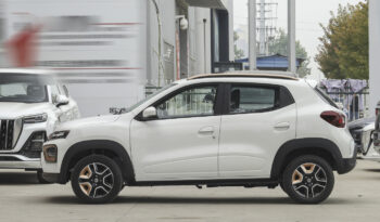 Dongfeng Nami Box full