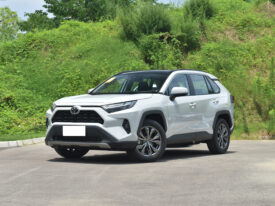 2023 TOYOTA RAV4 2.0L  2WD Fashion Plus