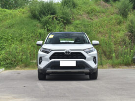 2023 TOYOTA RAV4 2.0L  2WD Fashion Plus