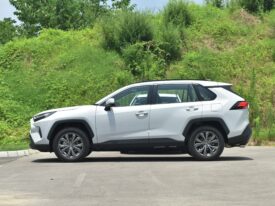 2023 TOYOTA RAV4 2.0L  2WD Fashion Plus