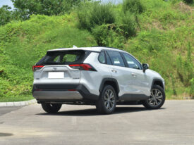 2023 TOYOTA RAV4 2.0L  2WD Fashion Plus