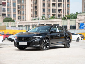 2024 Volkswagen Passat Starry Sky Elite 280TSI