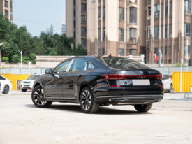 2024 Volkswagen Passat Starry Sky Elite 280TSI