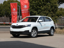 2024 Skoda KAMIQ 1.5L Strength