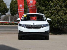 2024 Skoda KAMIQ 1.5L Strength