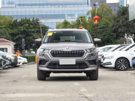 2024 Volkswagen Skoda Kodiaq TSI330 Five-seat Standard