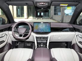 2024 BYD Song Plus DM-i 160KM Flagship