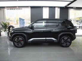 2025 Formula Leopard Titanium 3