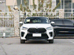 2025MY BMW X2 xDrive25i M Sport Shadow Package